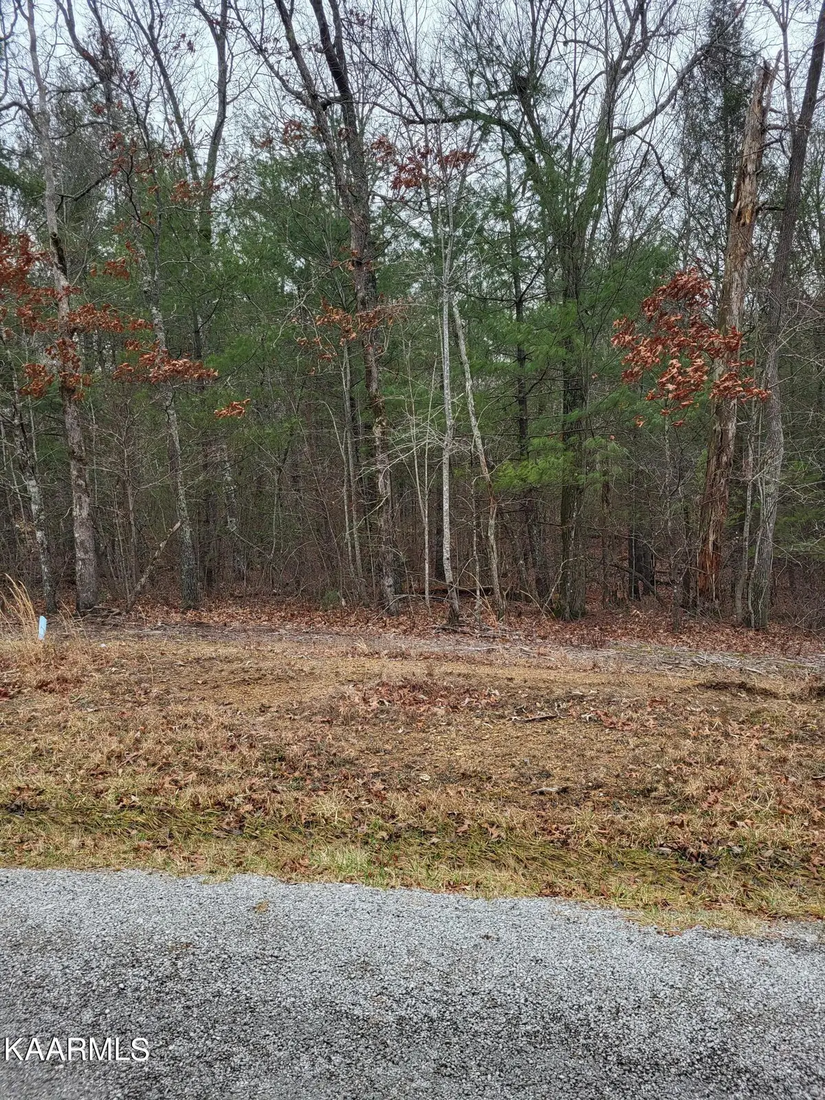 13 Dovecote Terrace, Crossville, TN 38558 - #1