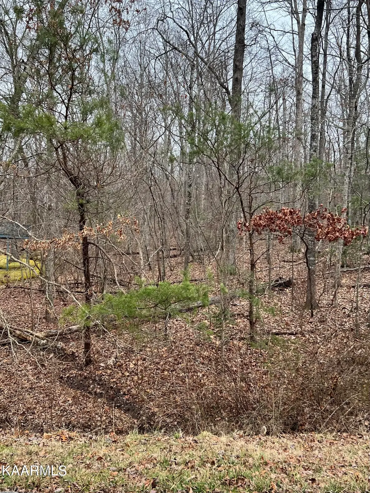 178 Meadowview Drive, Crossville, TN 38558 - #1