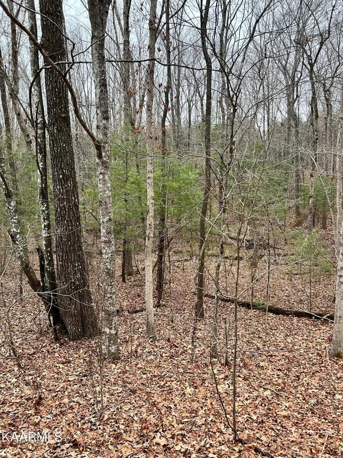 230 St. George Drive, Crossville, TN 38558 - #1