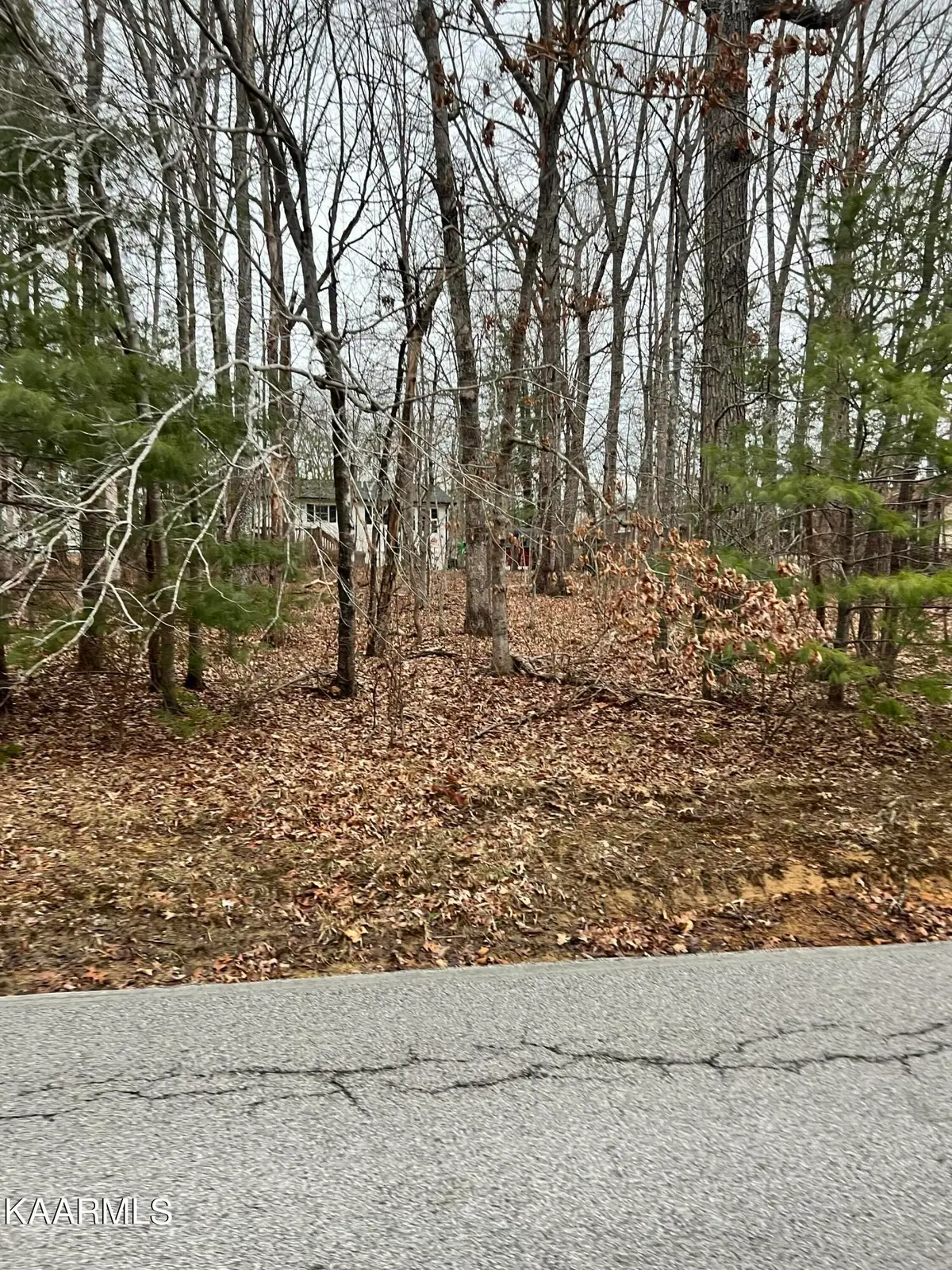 233 St. George Drive, Crossville, TN 38558 - #1