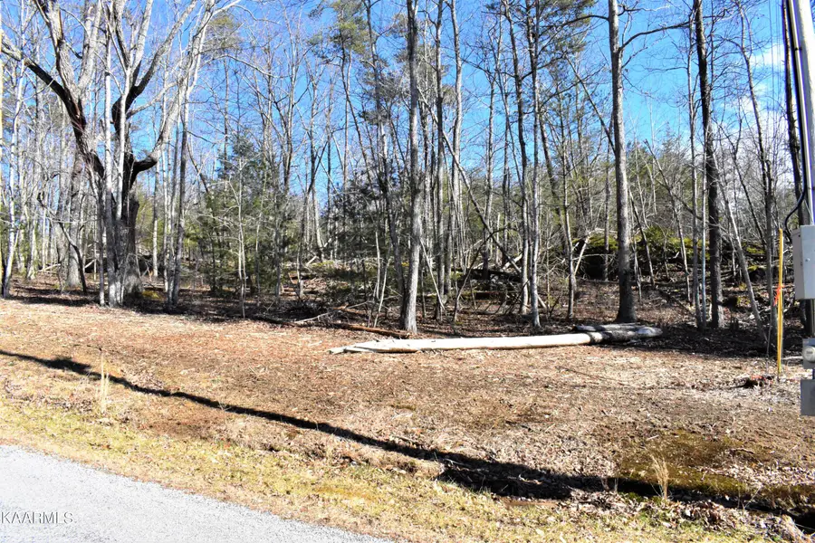 151 Markham Lane, Fairfield Glade, TN 38558 - #2