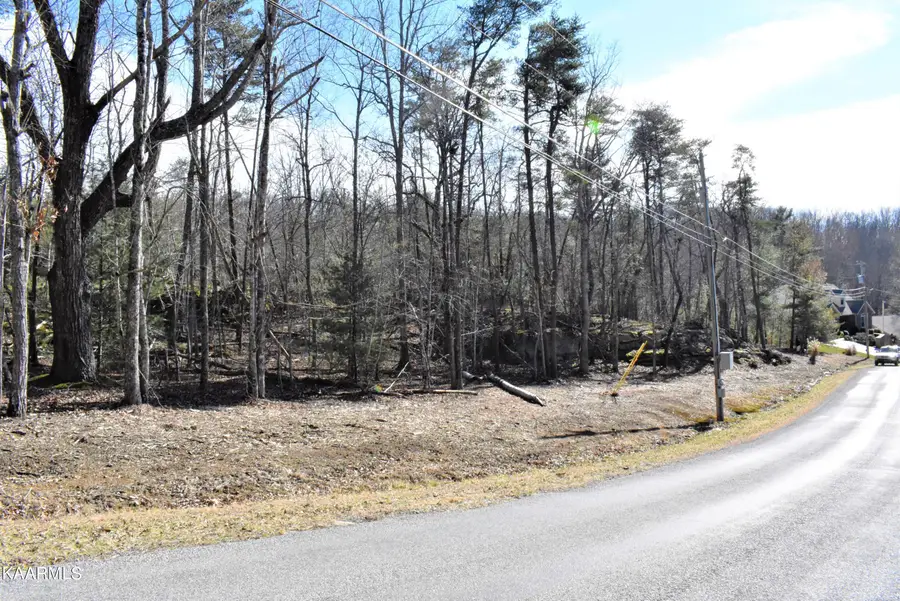 151 Markham Lane, Fairfield Glade, TN 38558 - #3