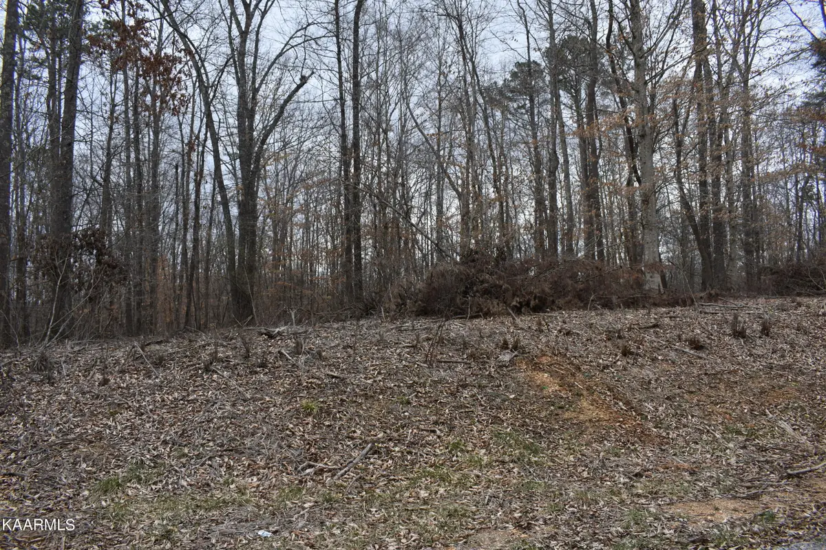 Lot 10 Jones Ridge Rd, Speedwell, TN 37870 - #1