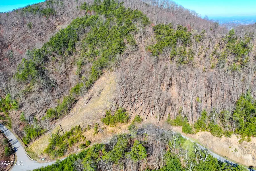 5696 Abrams View Tr, Tallassee, TN 37878 - #3