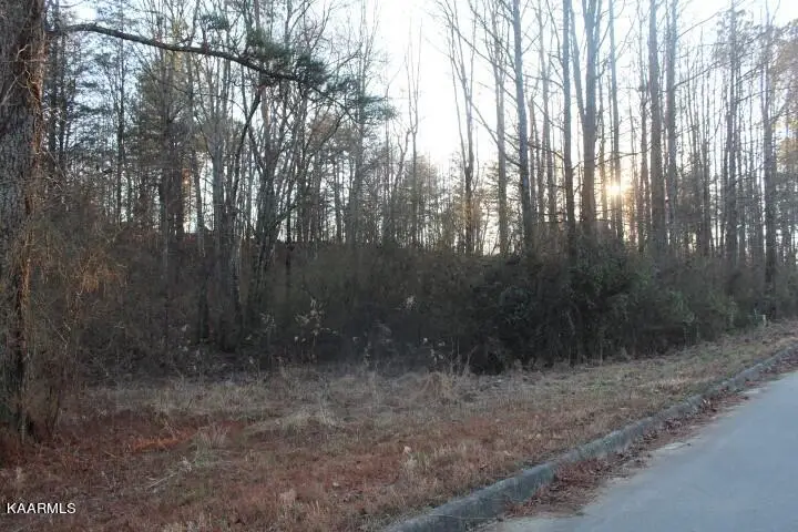 County Road 786 Lot 2, Etowah, TN 37331 - #2