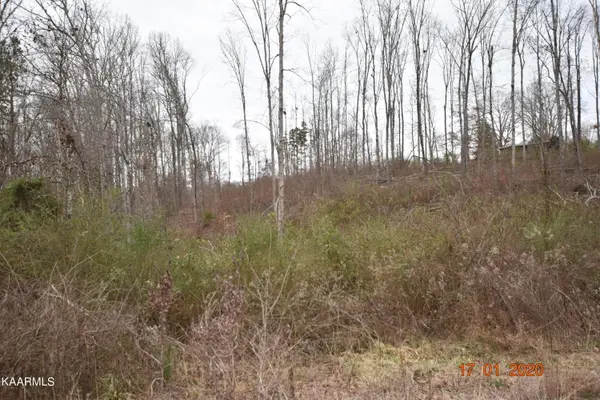 Lot 3 Maple Grove Rd, Ten Mile, TN 37880