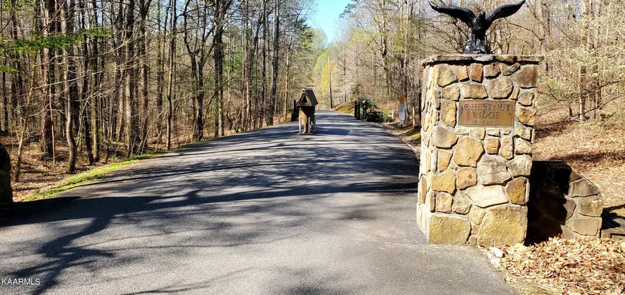 331 Chestnut Ridge Rd, Walland, TN 37886 - #2