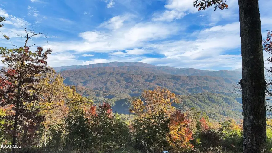 Tract 29R4 Chilhowee Mountain Tr, Maryville, TN 37803 - #2