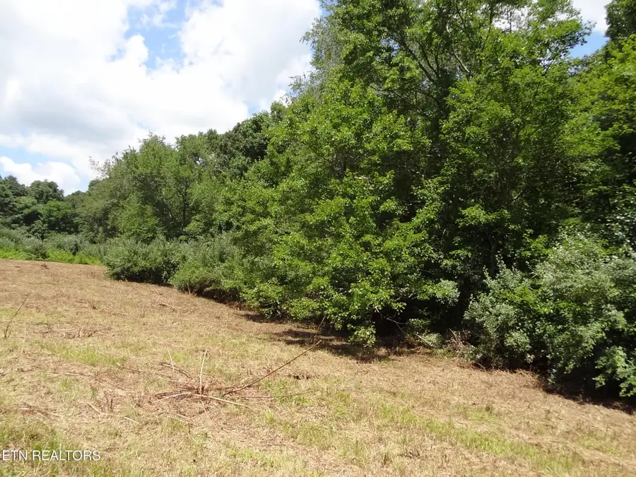 Lot 5 Eugene Court, Crossville, TN 38555 - #2