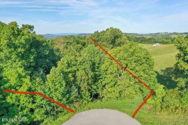 Mica Court Lot #160, New Tazewell, TN 37825