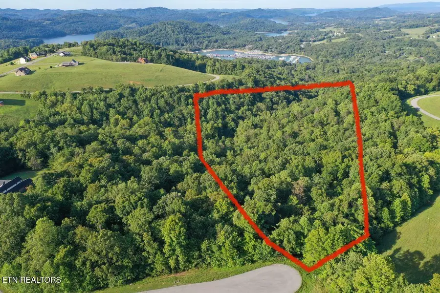 Mica Court Lot #160, New Tazewell, TN 37825 - #2