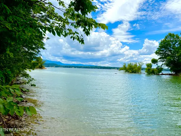 Tyler Court, Baneberry, TN 37890