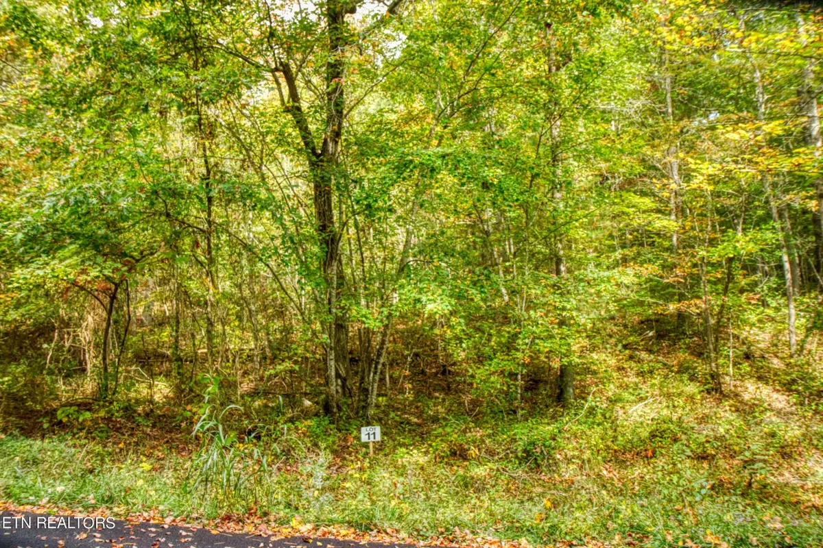 Lot 11 Old Mount Helen Rd, Allardt, TN 38504 - #1