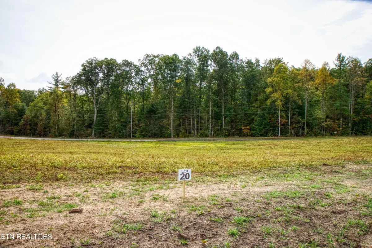 Lot 20 Old Mount Helen Rd, Allardt, TN 38504 - #1