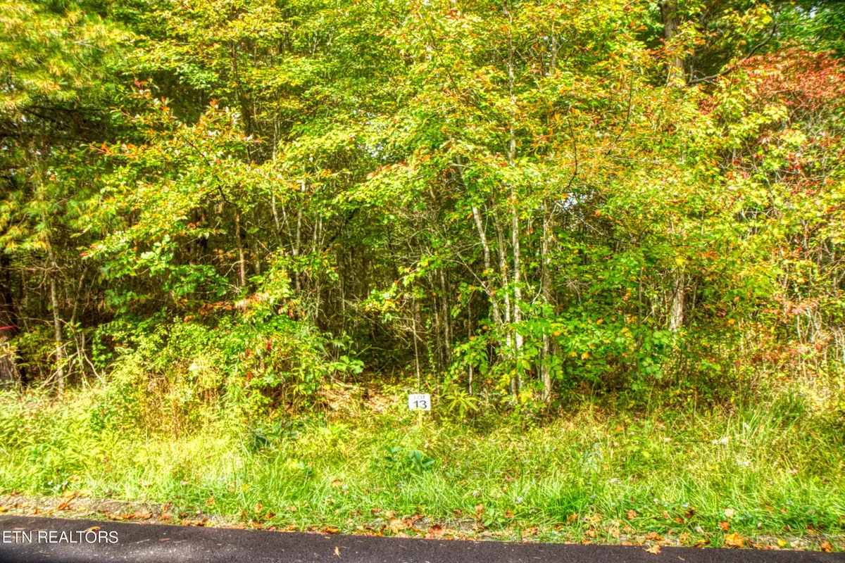 Lot 13 Old Mt Helen Rd, Allardt, TN 38504 - #1