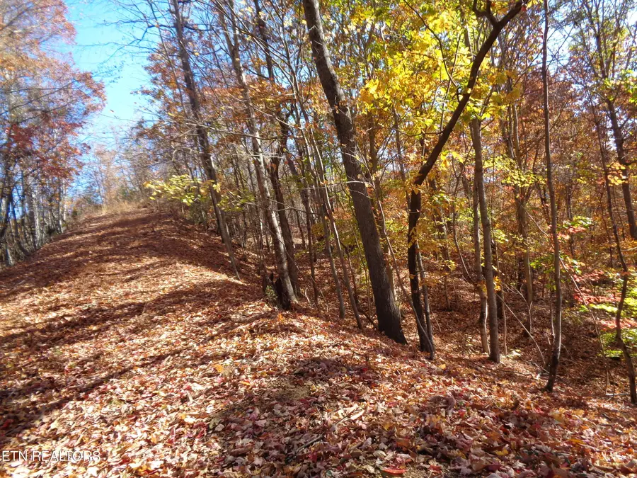 Twin Feathers Dr, Rockwood, TN 37854 - #3