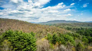 Green Ridge Trail - Lot #2, Harriman, TN 37748 - #1