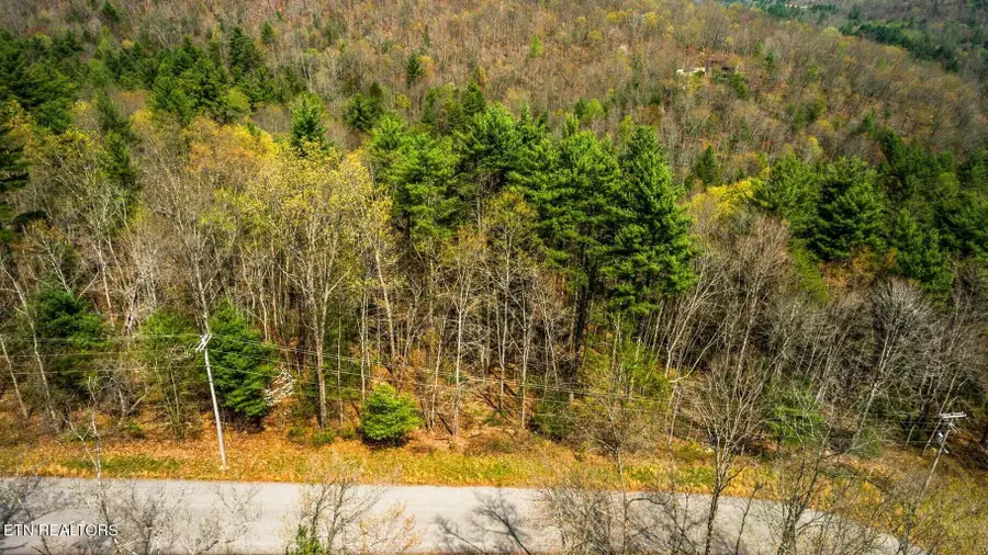 Green Ridge Trail - Lot #2, Harriman, TN 37748 - #2