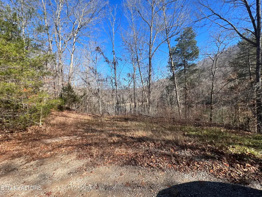 4 lots Jones Ridge Rd, Speedwell, TN 37870 - #2