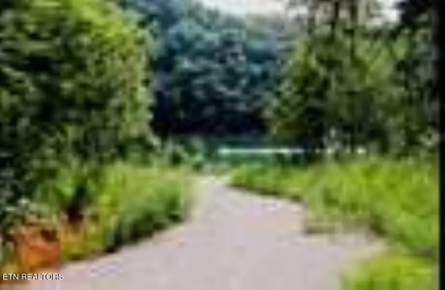 lots 1&2 Jones Ridge Rd, Speedwell, TN 37870 - #3