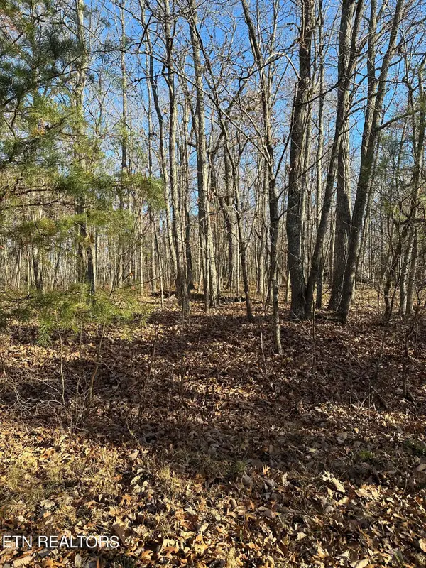 247 Albemarle Circle, Crossville, TN 38558