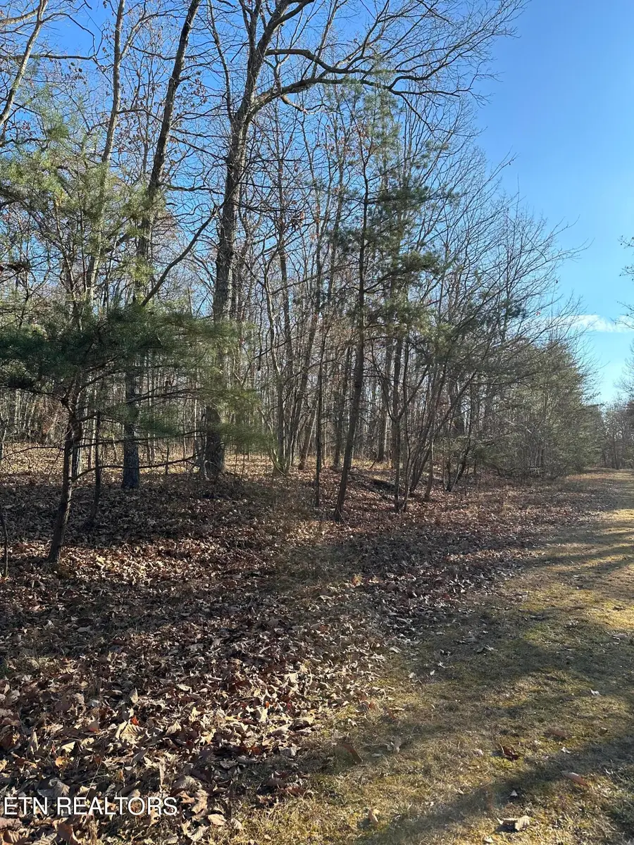 247 Albemarle Circle, Crossville, TN 38558 - #2