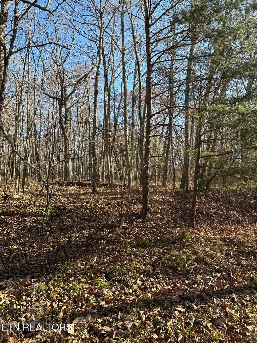 247 Albemarle Circle, Crossville, TN 38558 - #3