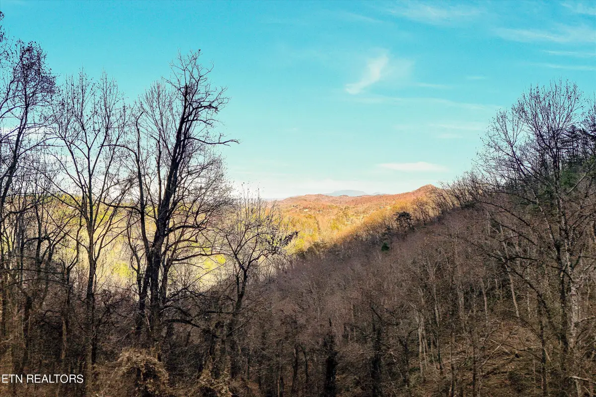 Lots 6,7 Balsam Slopes Rd, Sevierville, TN 37862 - #1