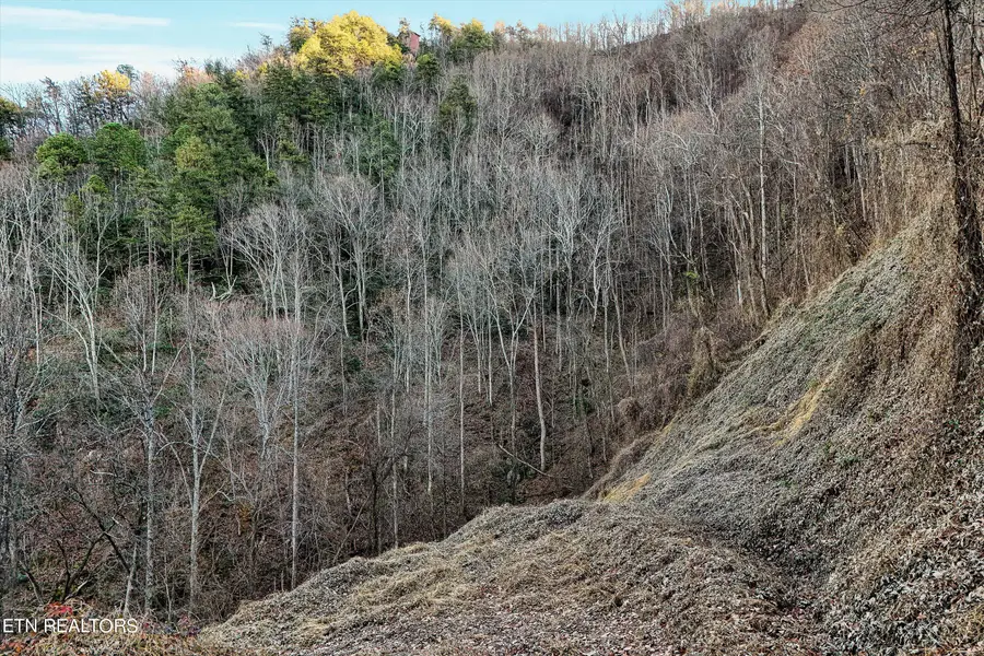 Lots 6,7 Balsam Slopes Rd, Sevierville, TN 37862 - #2