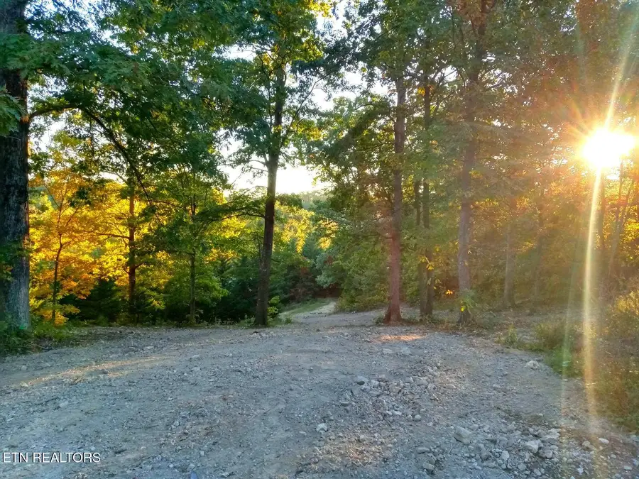 7171 Vonore Rd, Loudon, TN 37774 - #3