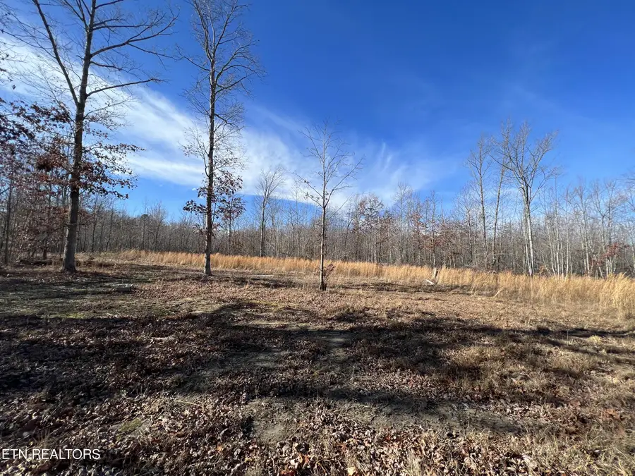 Lot J Mccartt Ridge Lane, Sunbright, TN 37872 - #3