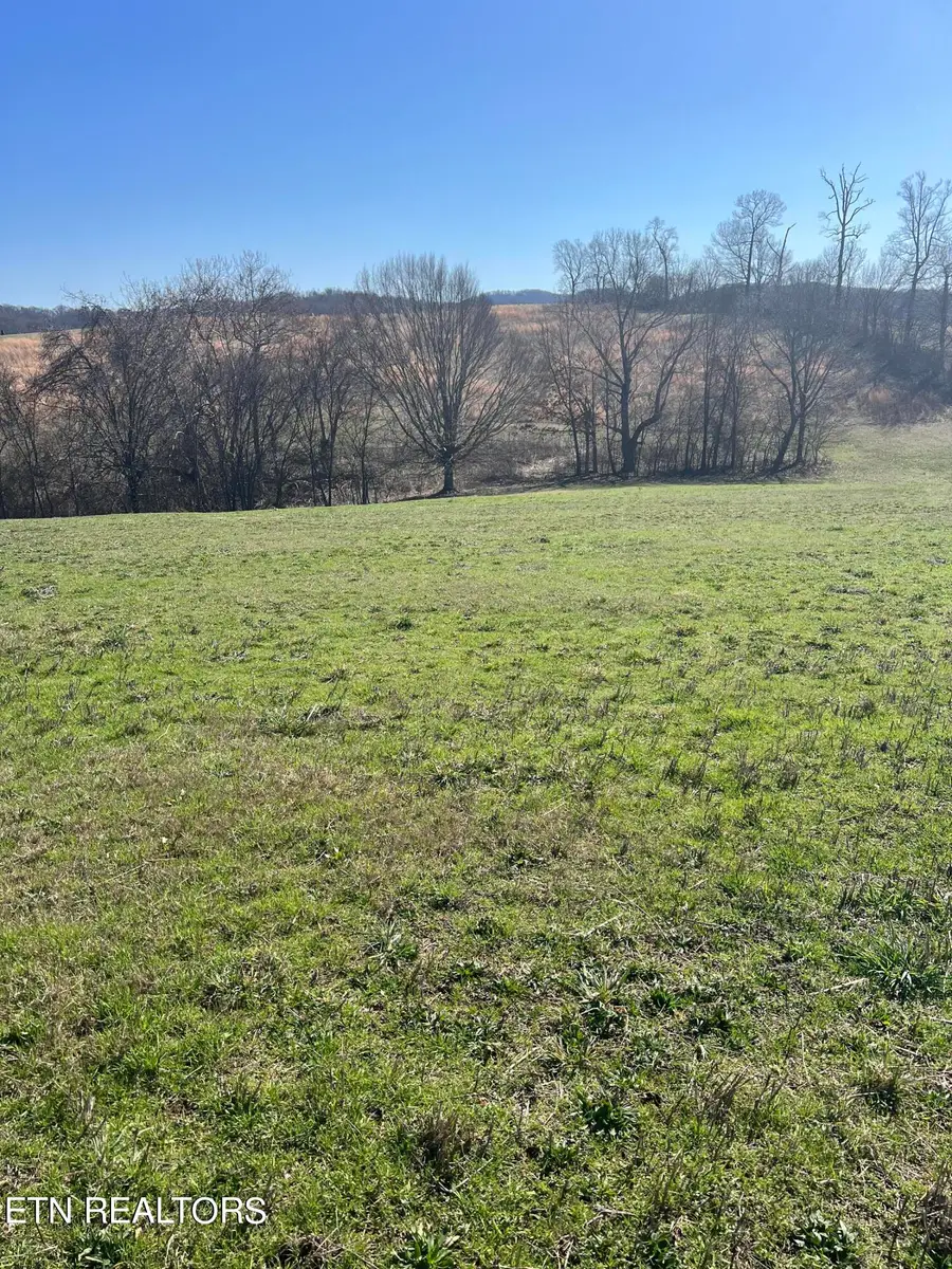 Lot 8 Schertz Lane, Rutledge, TN 37861 - #2