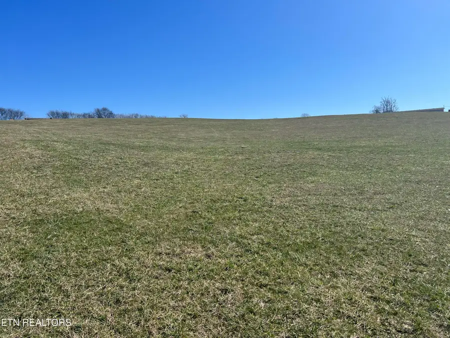 Lot 8 Schertz Lane, Rutledge, TN 37861 - #3