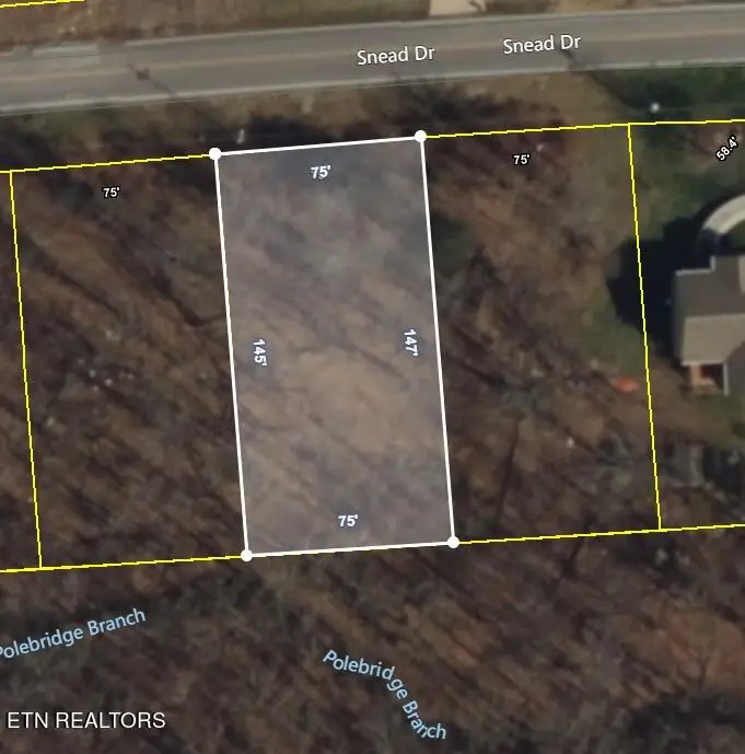 232 Snead Drive, Crossville, TN 38558 - #2