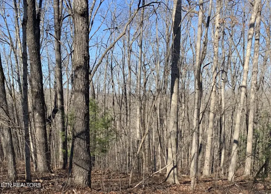 190 Beachwood Drive, Fairfield Glade, TN 38558 - #3