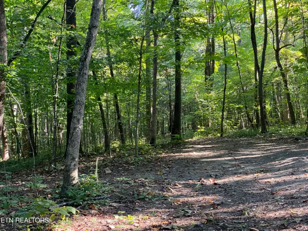 0 Conner Rd, Powell, TN 37849