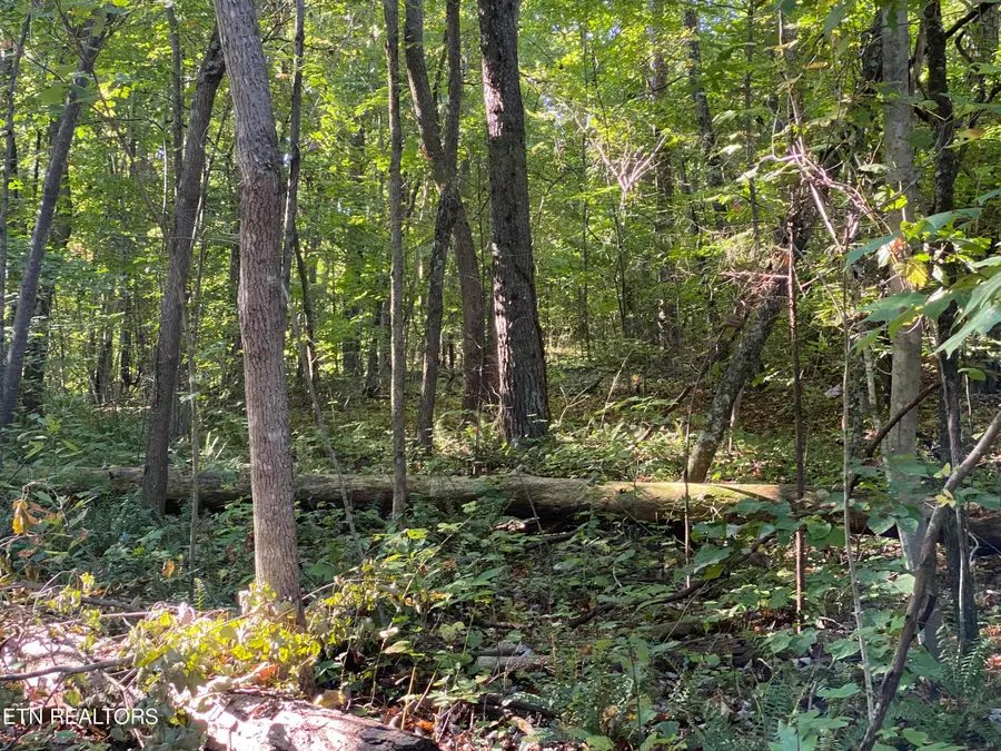 0 Conner Rd, Powell, TN 37849 - #2