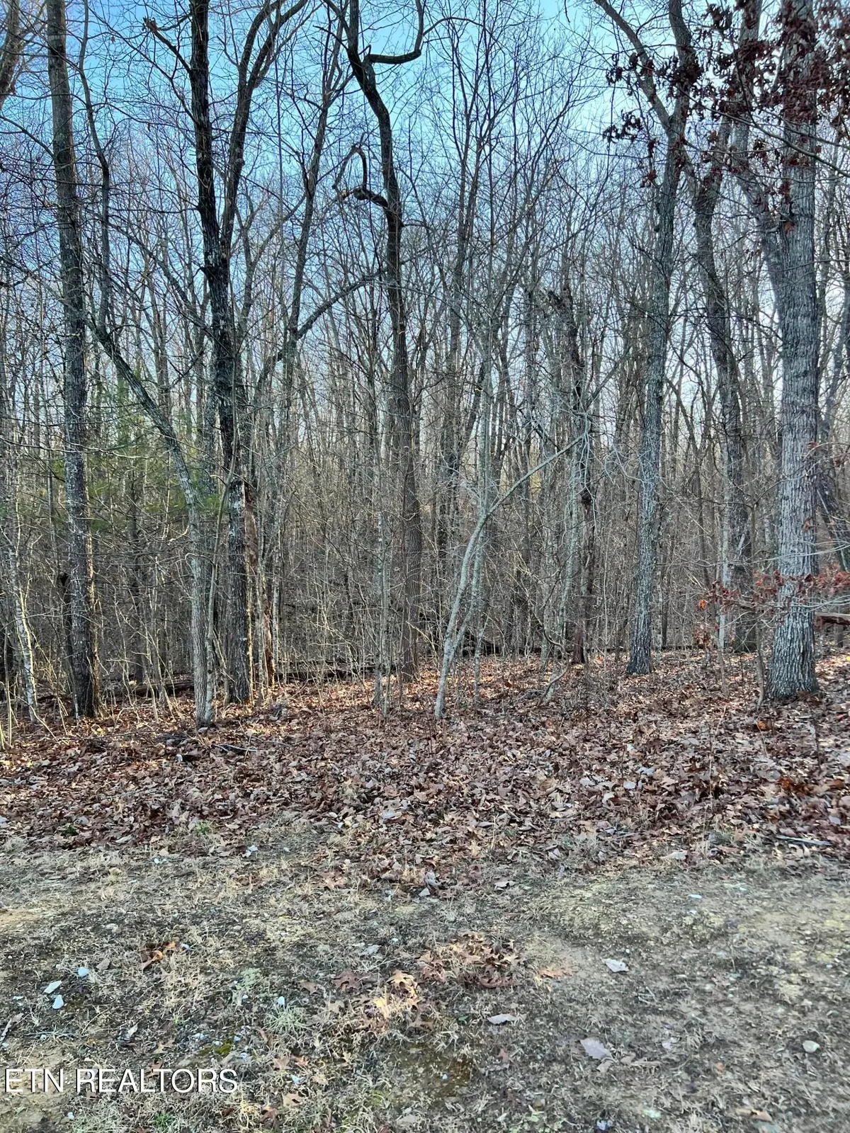 144 Folkstone Rd, Crossville, TN 38558 - #1