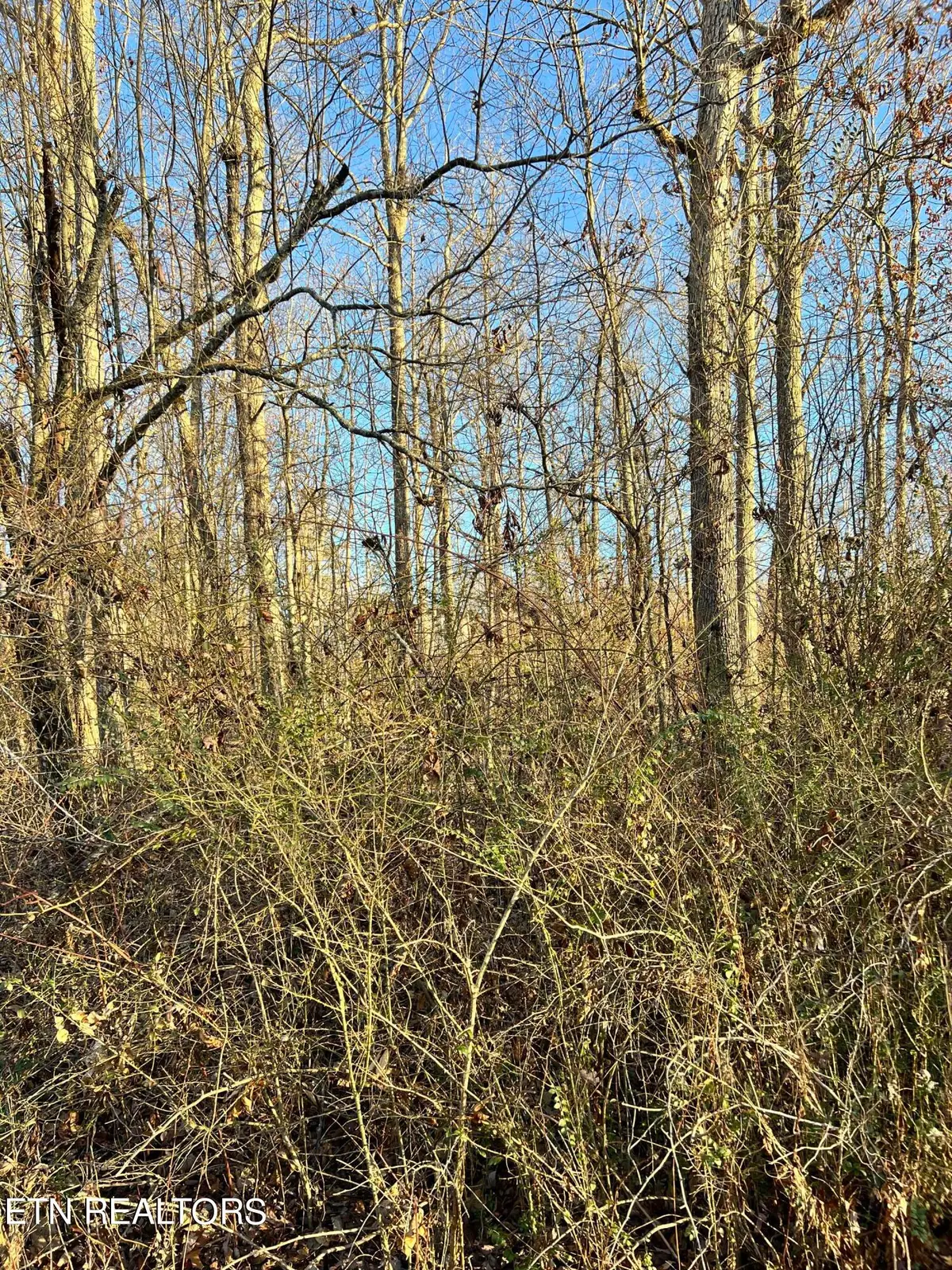 154 Lakeshire Drive, Crossville, TN 38558 - #1