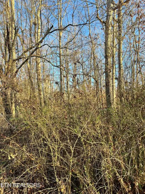 154 Lakeshire Drive, Crossville, TN 38558