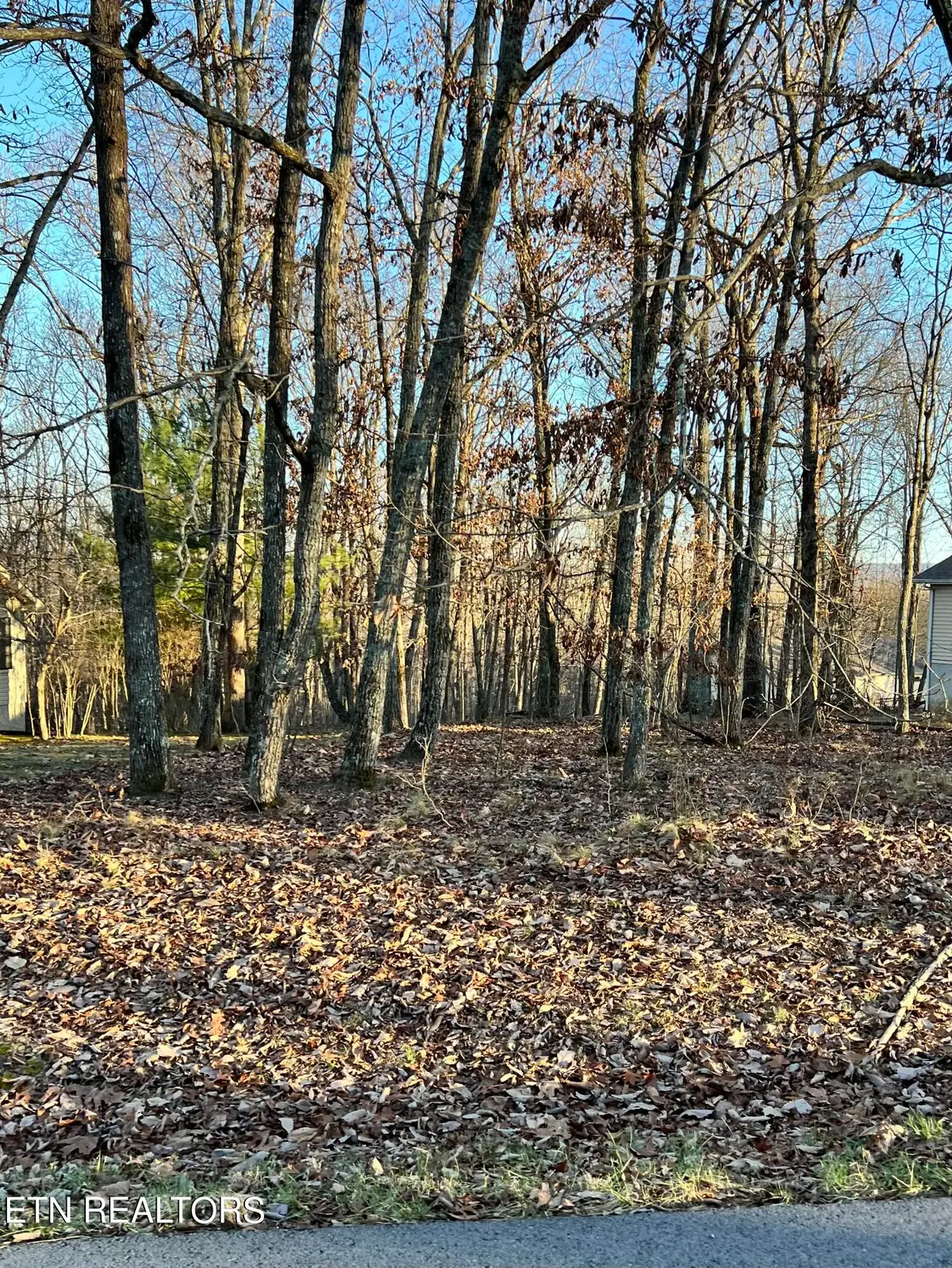 236 Amherst Lane, Crossville, TN 38558 - #1