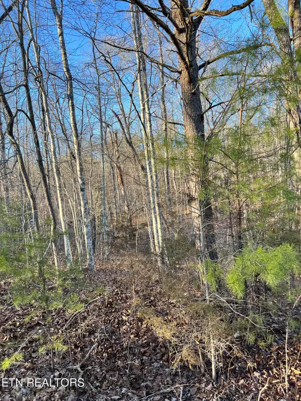 443 St. George Drive, Crossville, TN 38558