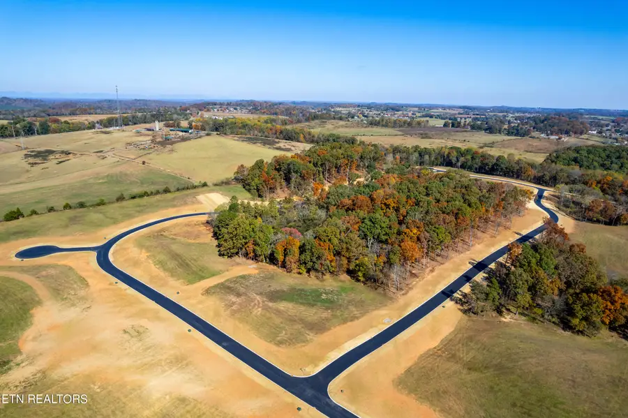 LOT81 1020 Sophie Drive, Greenback, TN 37742 - #3