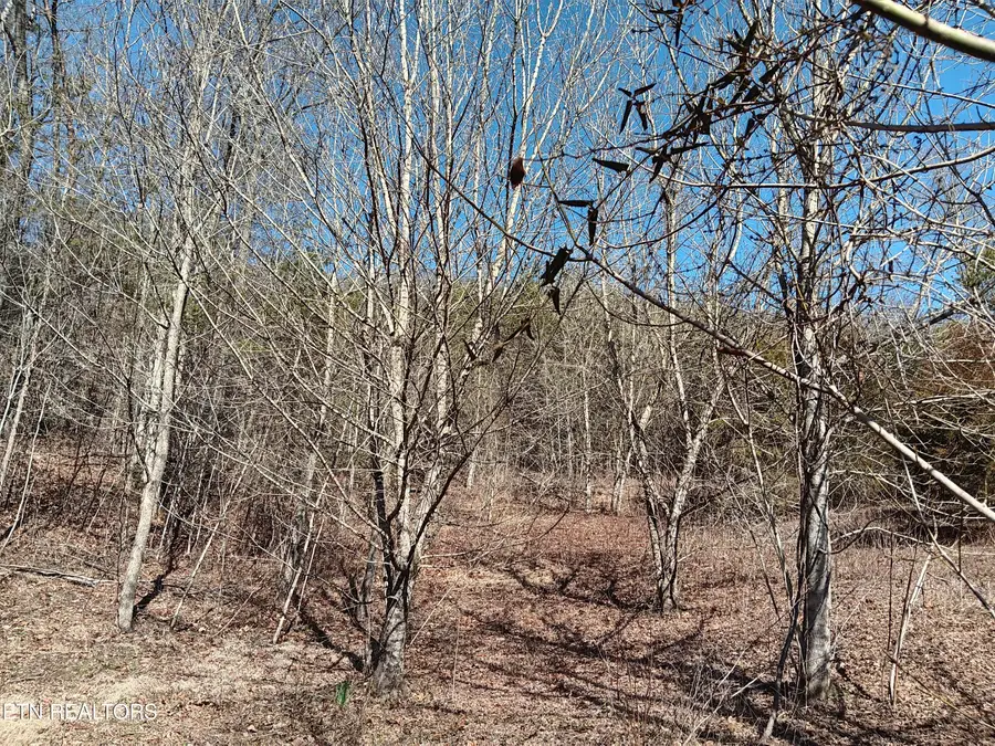 0 Crackers Neck Rd, Washburn, TN 37888 - #3