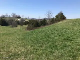 Ruth Circle, Sharps Chapel, TN 37866 - #3