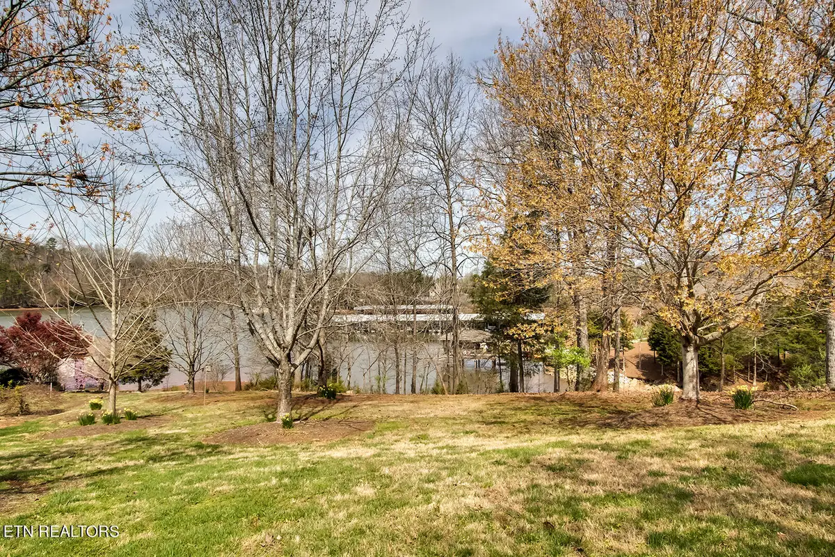 191 White Swan Drive, Vonore, TN 37885 - #1