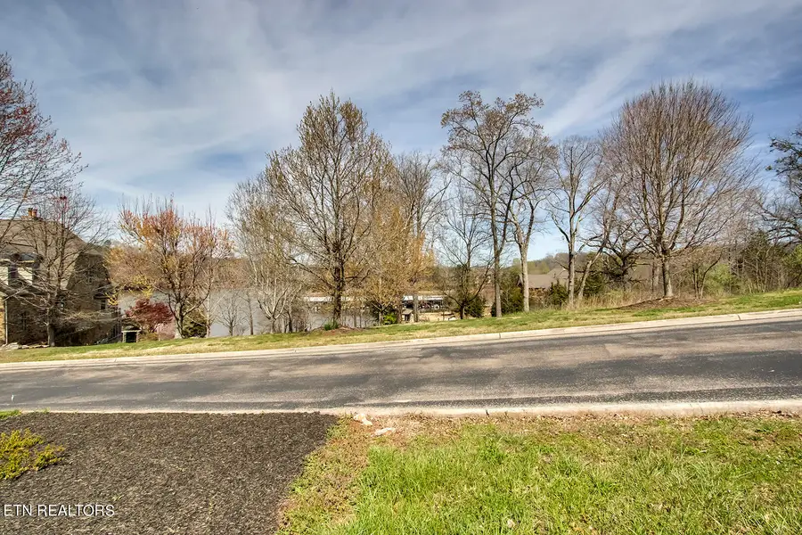 191 White Swan Drive, Vonore, TN 37885 - #2