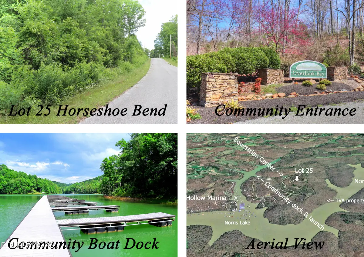 Lot 25 Horseshoe Bend, Speedwell, TN 37870 - #1