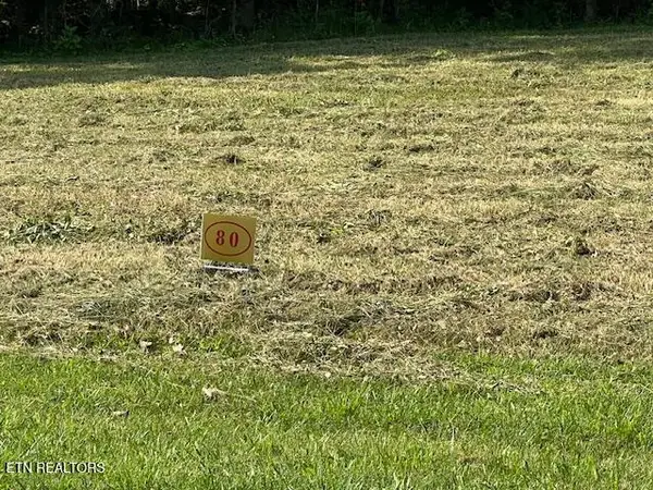 E Shore Drive, Rockwood, TN 37854