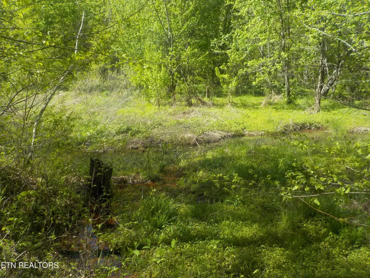 Steve Brown Road, Bean Station, TN 37708 - #1